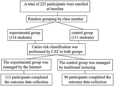 Effectiveness of online caries management platform in children's caries prevention: A randomized controlled trial